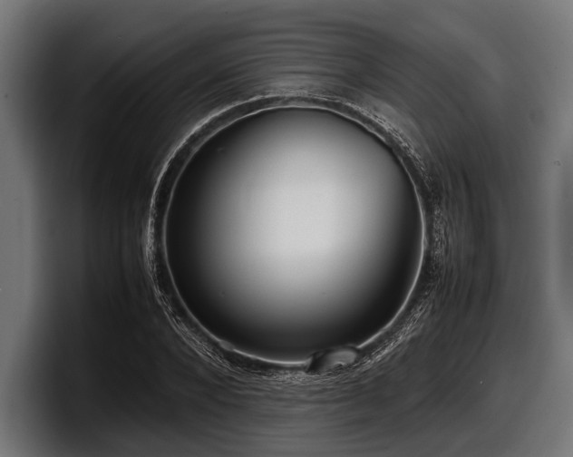 X0000097960880200803241212