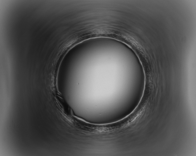 X0000097960881200803241212