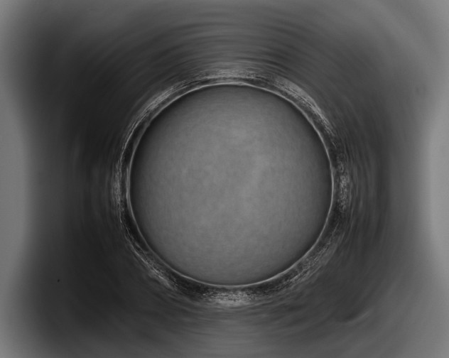 X0000097960882200803241212