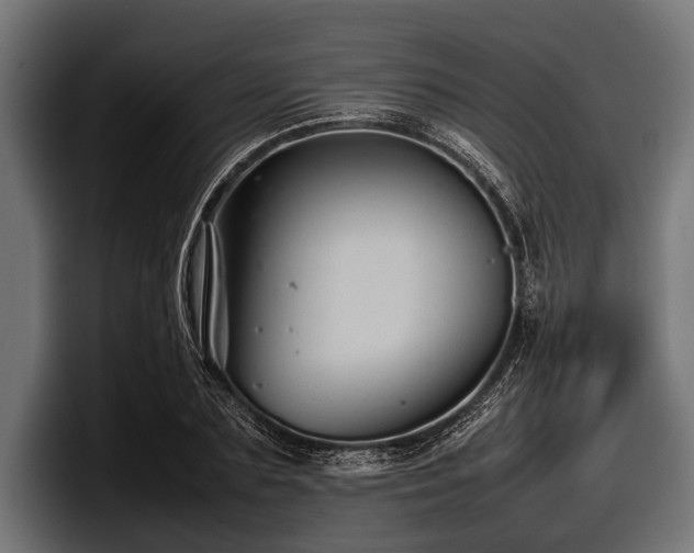 X0000097960883200803241212