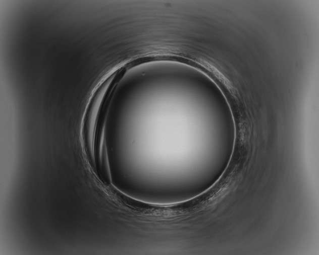 X0000097960885200803241212