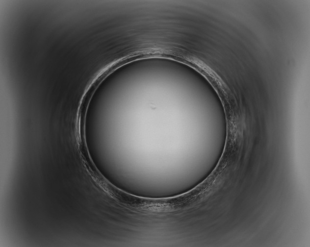 X0000097960886200803241212