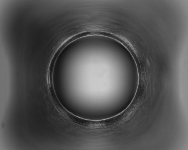 X0000097960887200803241212