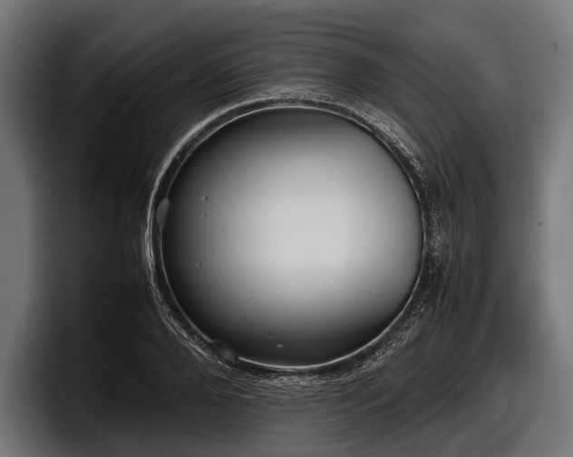 X0000097960888200803241211