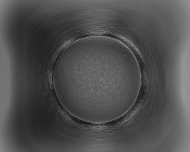 X0000097960889200803241211