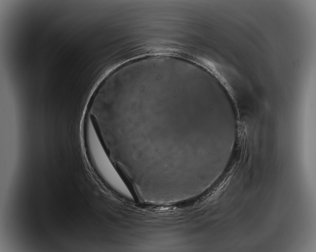 X0000097960891200803241211