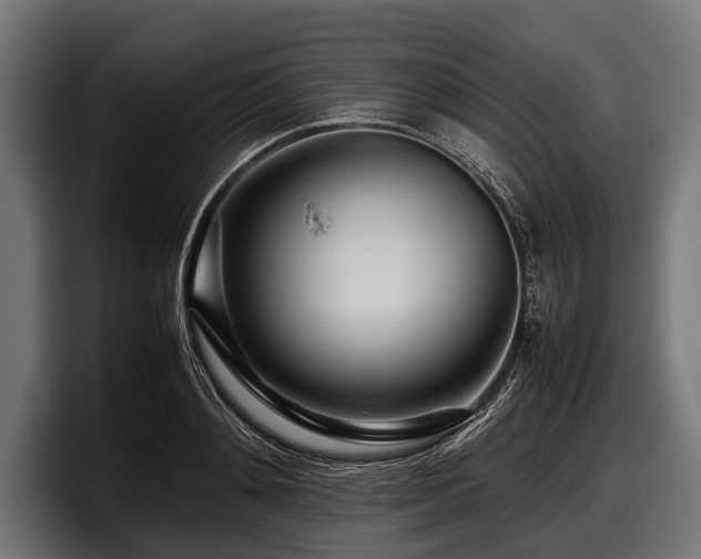 X0000097960892200803241211
