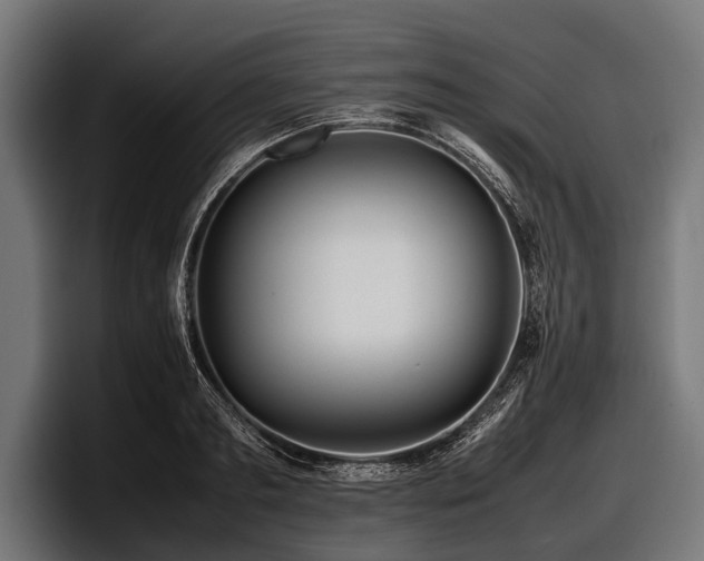 X0000097960893200803241211