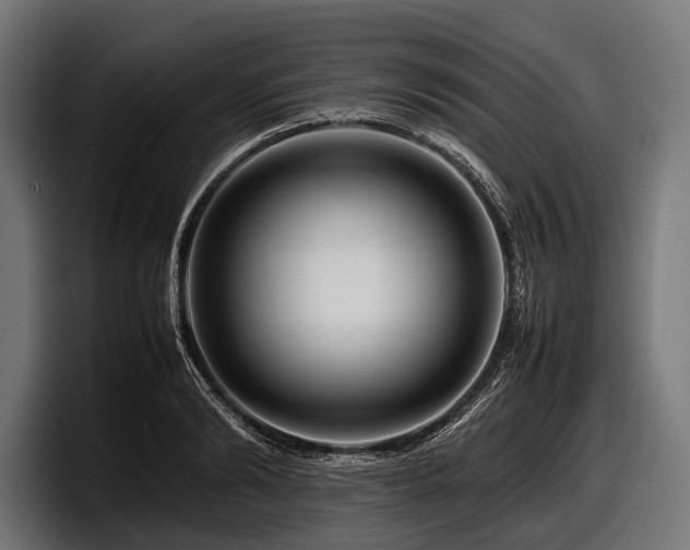 X0000097960894200803241211