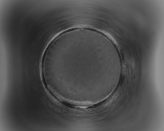 X0000097960895200803241211
