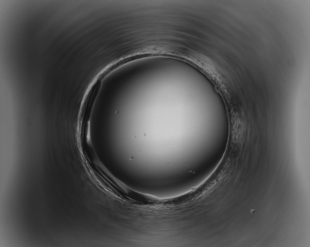 X0000097960896200803241211