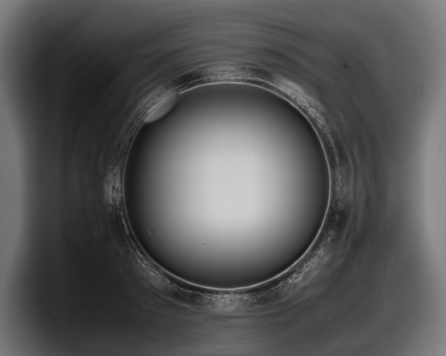 X0000097960897200803241211