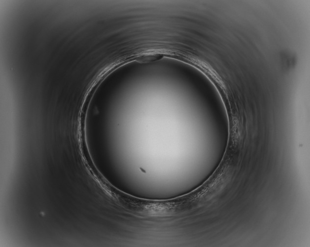 X0000097960898200803241211