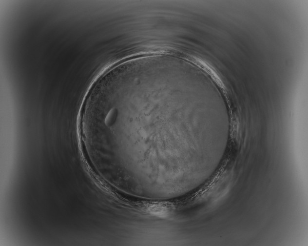 X0000097960899200803241211