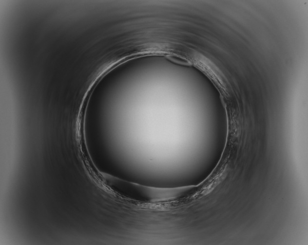 X0000097960900200803241211