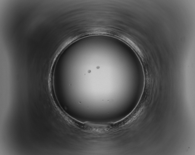 X0000097960901200803241211