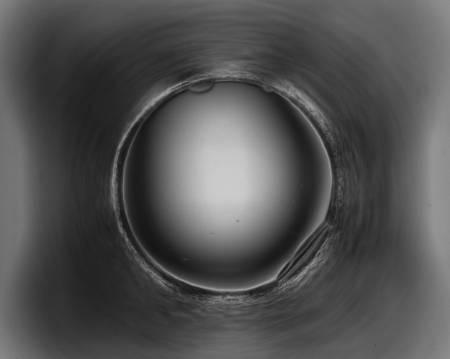 X0000097960902200803241211