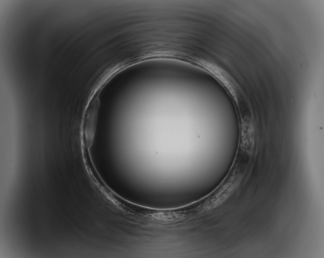 X0000097960906200803241211
