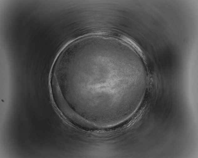 X0000097960907200803241211