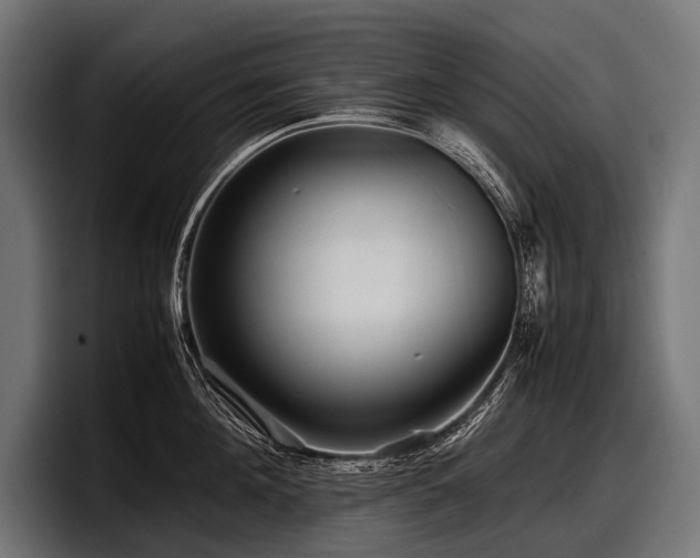 X0000097960908200803241211
