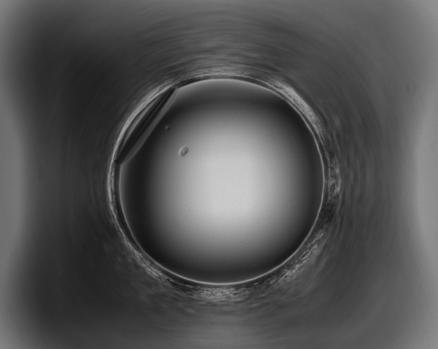 X0000097960909200803241211