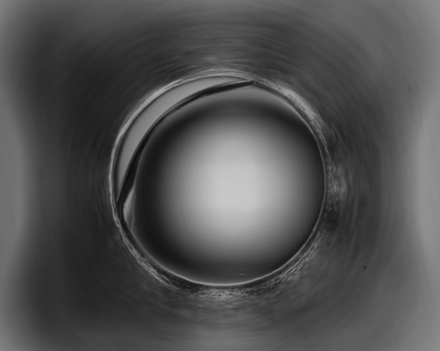 X0000097960910200803241211