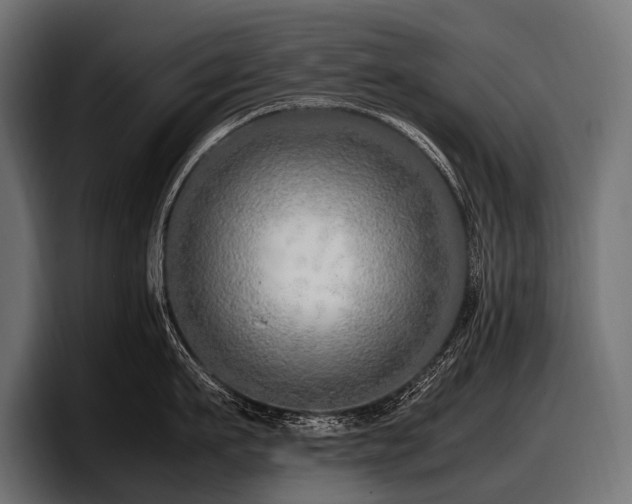 X0000097960911200803241211
