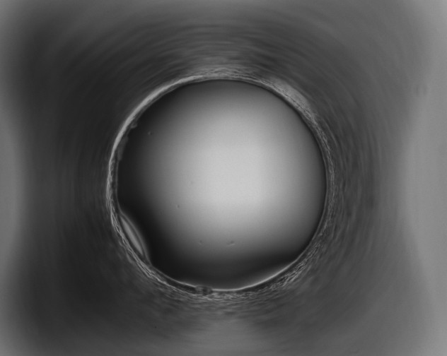 X0000097960912200803241211