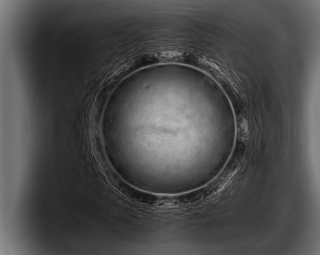 X0000097960913200803241211
