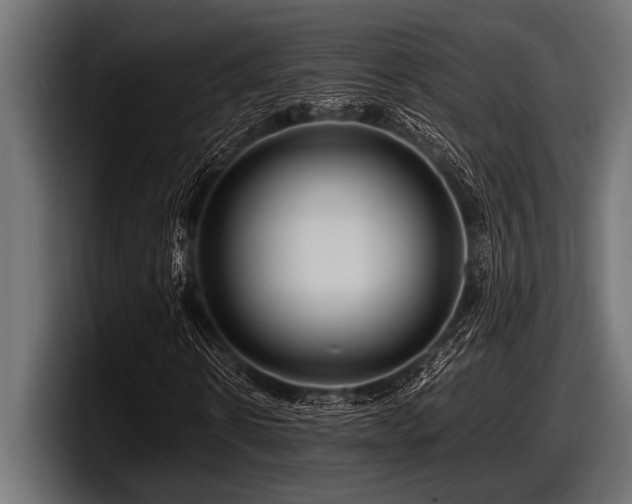 X0000097960914200803241211