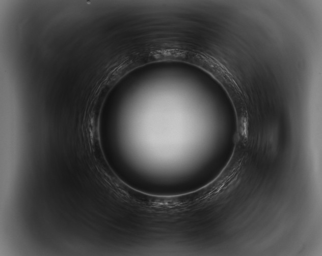 X0000097960915200803241211