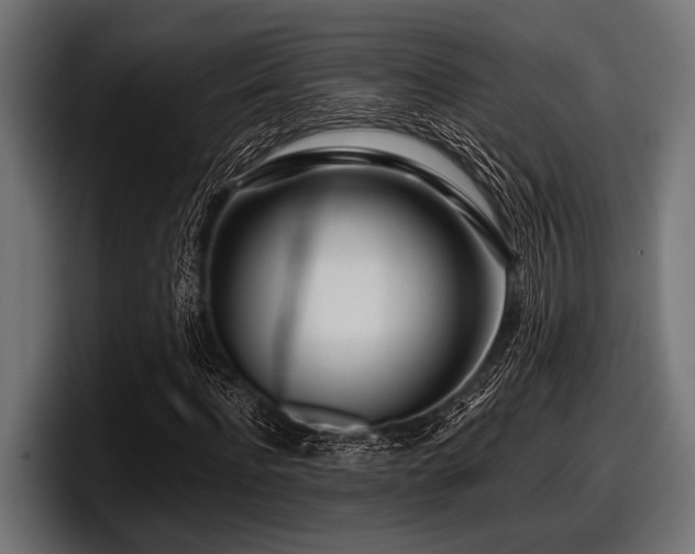 X0000097960916200803241211
