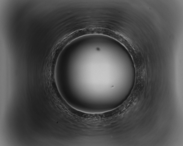 X0000097960919200803241211