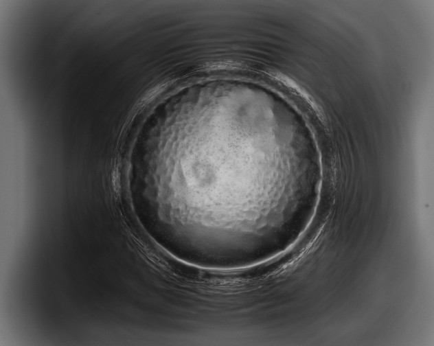 X0000097960921200803241211