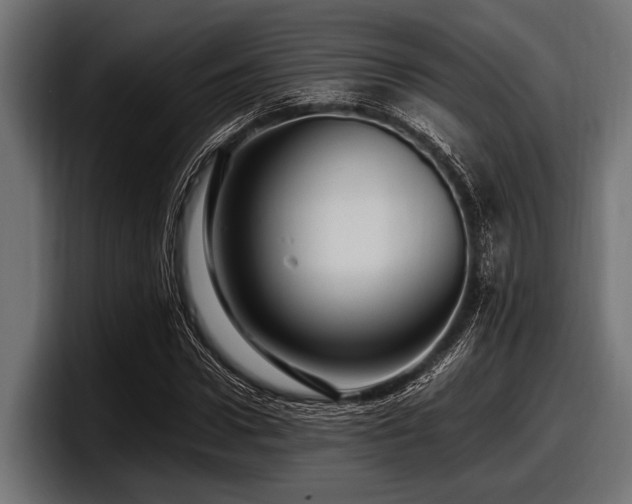 X0000097960922200803241211