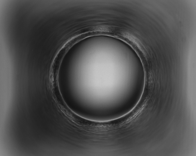 X0000097960923200803241211