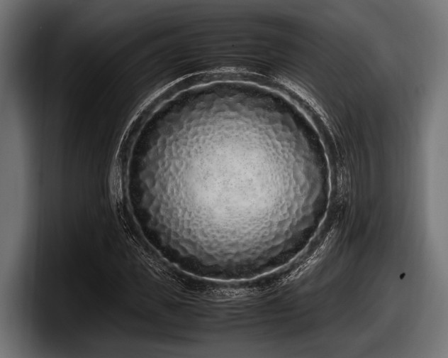 X0000097960925200803241211