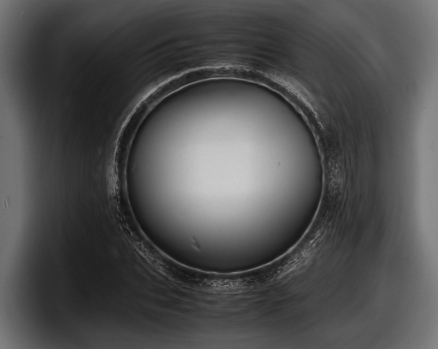 X0000097960927200803241211