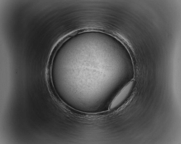 X0000097960928200803241211