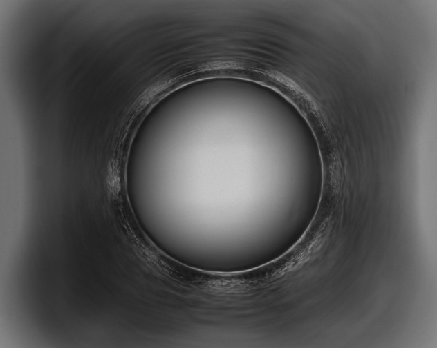 X0000097960929200803241211