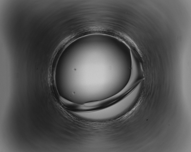 X0000097960930200803241211
