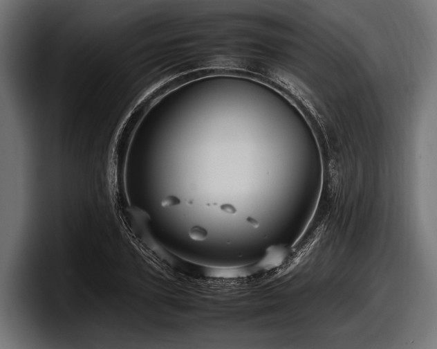 X0000097960931200803241211