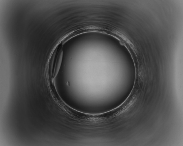 X0000097960933200803241211