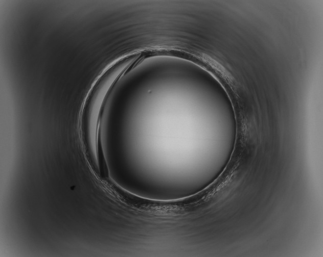 X0000097960934200803241211