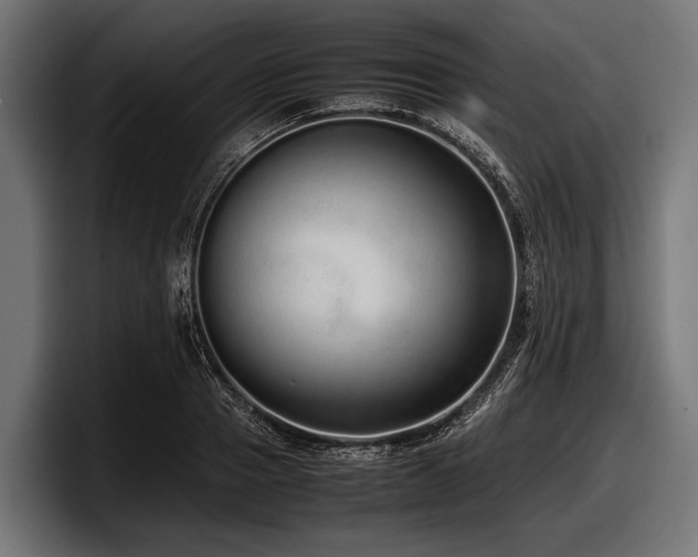 X0000097960937200803241211
