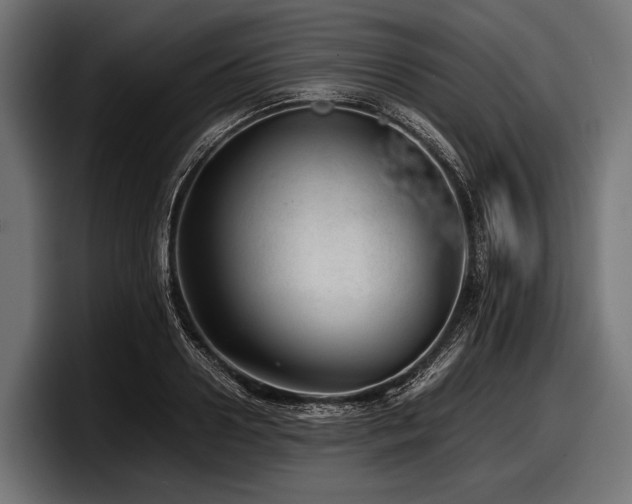X0000097960938200803241211