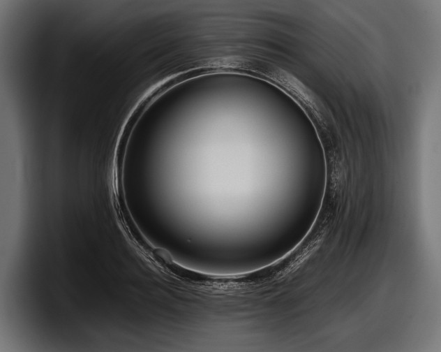 X0000097960940200803241211