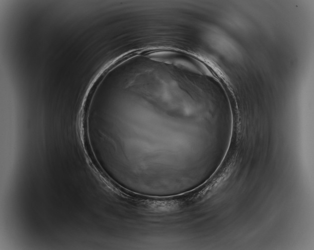 X0000097960941200803241211