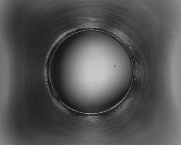 X0000097960942200803241211