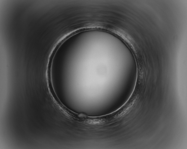 X0000097960943200803241211